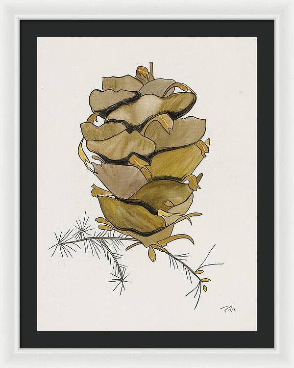 Colorado Tall Pine Cone Fine Art Print - Framed Print