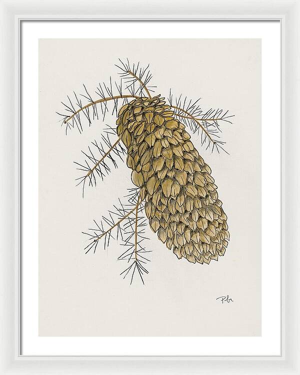 Colorado Pine Cone Fine Art Print - Framed Print