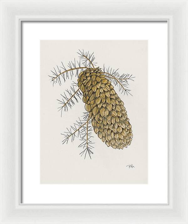 Colorado Pine Cone Fine Art Print - Framed Print