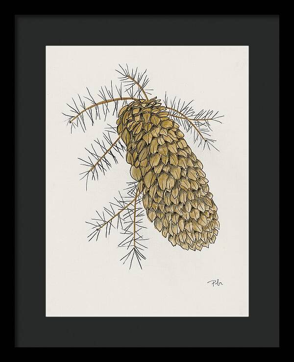 Colorado Pine Cone Fine Art Print - Framed Print