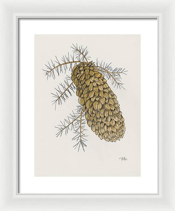 Colorado Pine Cone Fine Art Print - Framed Print