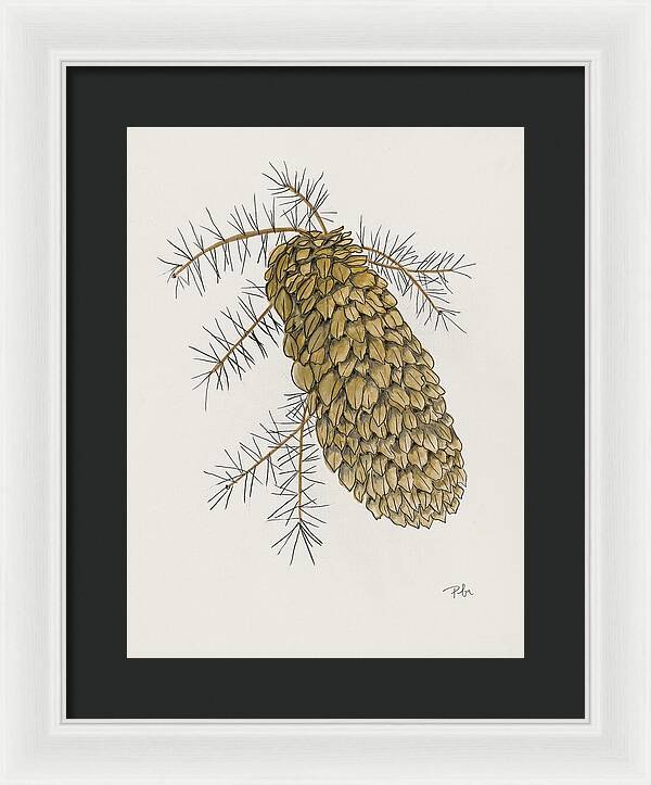 Colorado Pine Cone Fine Art Print - Framed Print