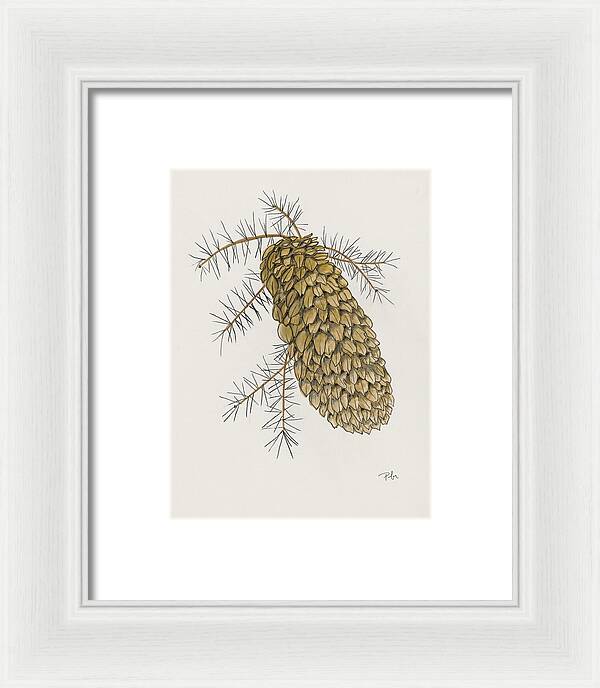 Colorado Pine Cone Fine Art Print - Framed Print