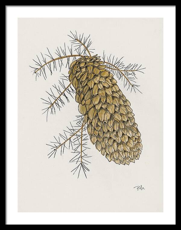 Colorado Pine Cone Fine Art Print - Framed Print