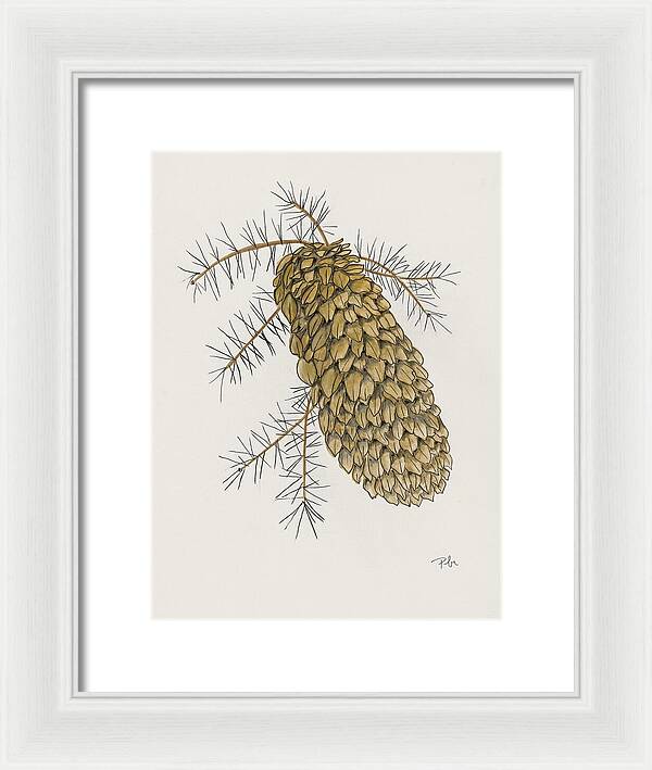 Colorado Pine Cone Fine Art Print - Framed Print