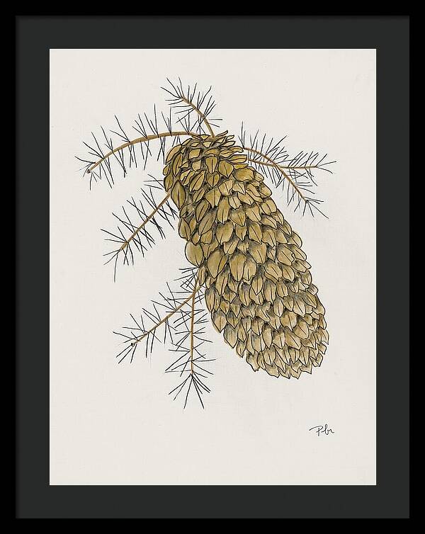 Colorado Pine Cone Fine Art Print - Framed Print