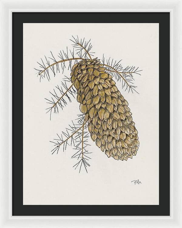 Colorado Pine Cone Fine Art Print - Framed Print