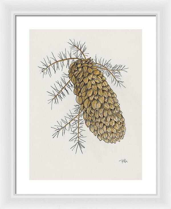 Colorado Pine Cone Fine Art Print - Framed Print