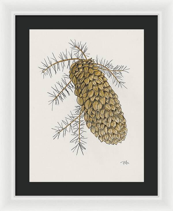 Colorado Pine Cone Fine Art Print - Framed Print