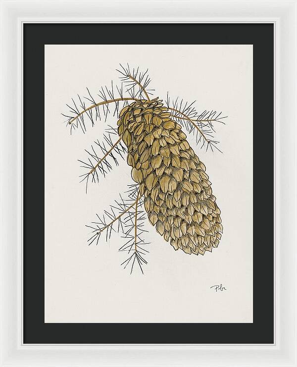 Colorado Pine Cone Fine Art Print - Framed Print
