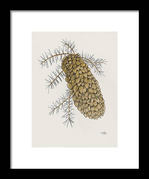 Colorado Pine Cone Fine Art Print - Framed Print