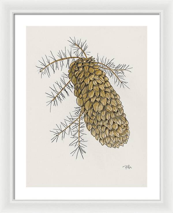 Colorado Pine Cone Fine Art Print - Framed Print