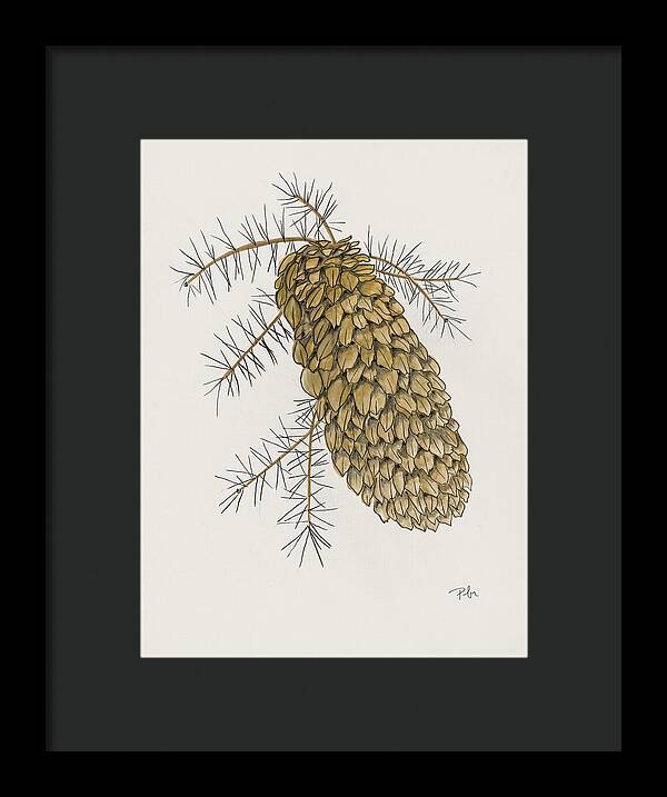 Colorado Pine Cone Fine Art Print - Framed Print