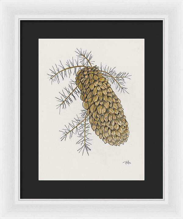 Colorado Pine Cone Fine Art Print - Framed Print