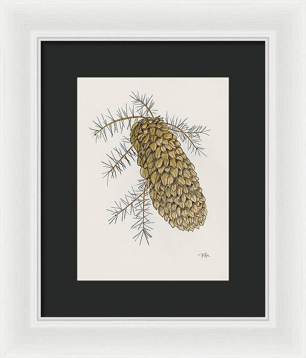 Colorado Pine Cone Fine Art Print - Framed Print