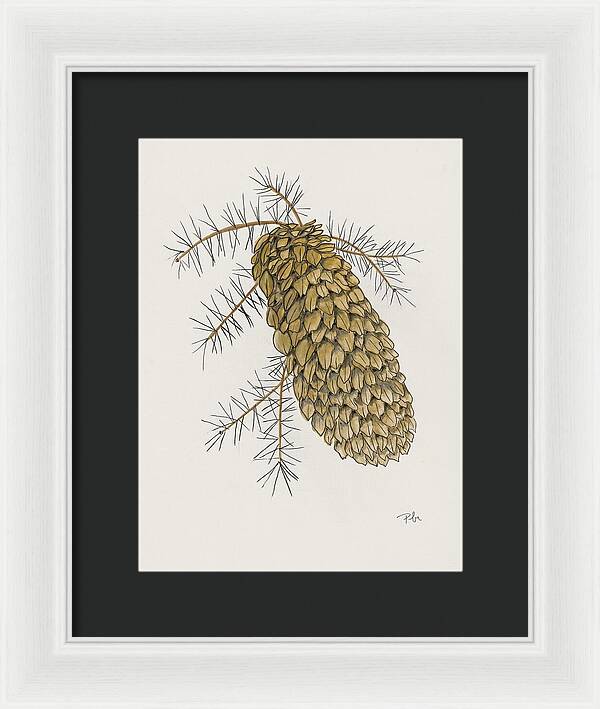Colorado Pine Cone Fine Art Print - Framed Print