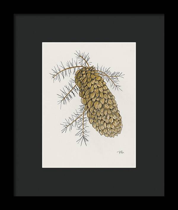 Colorado Pine Cone Fine Art Print - Framed Print