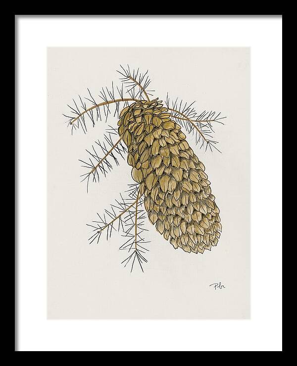 Colorado Pine Cone Fine Art Print - Framed Print