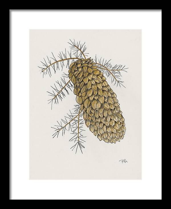 Colorado Pine Cone Fine Art Print - Framed Print