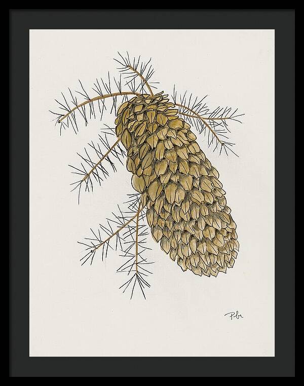 Colorado Pine Cone Fine Art Print - Framed Print