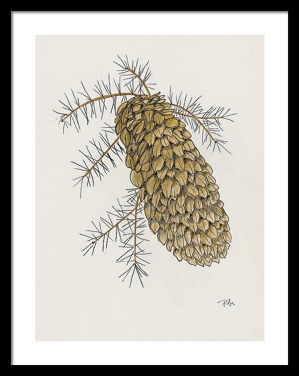 Colorado Pine Cone Fine Art Print - Framed Print
