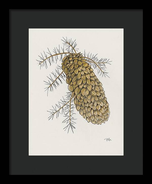 Colorado Pine Cone Fine Art Print - Framed Print