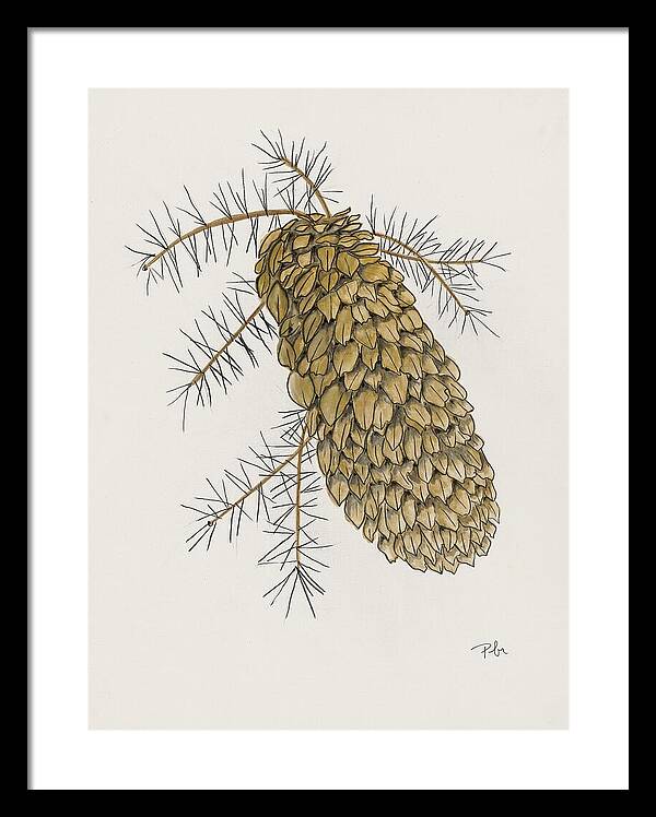 Colorado Pine Cone Fine Art Print - Framed Print