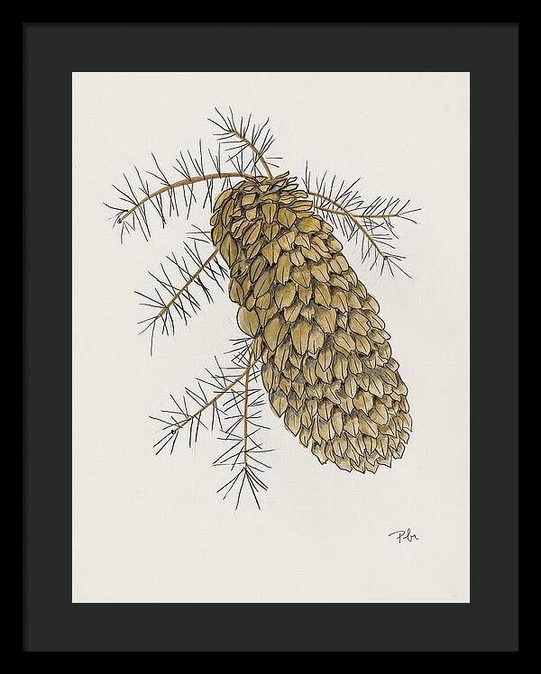 Colorado Pine Cone Fine Art Print - Framed Print