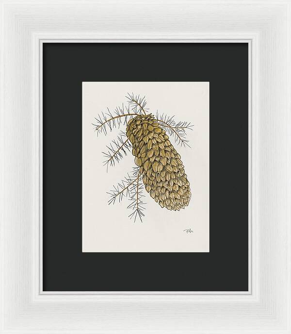 Colorado Pine Cone Fine Art Print - Framed Print