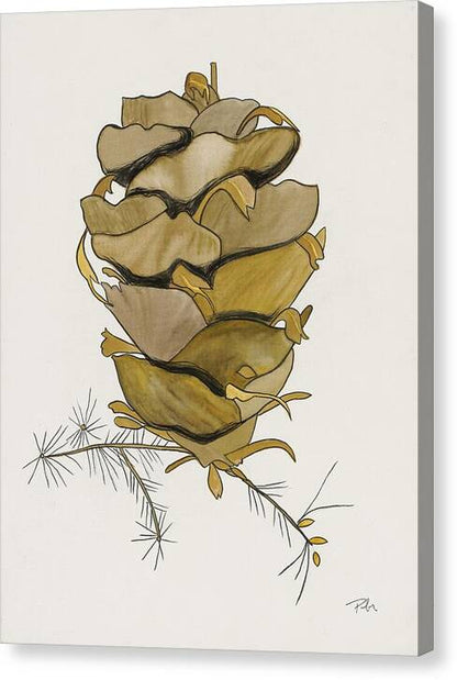 Colorado Tall Pine Cone Fine Art Print - Canvas Print