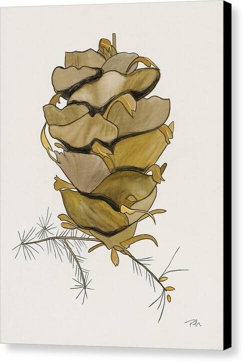 Colorado Tall Pine Cone Fine Art Print - Canvas Print