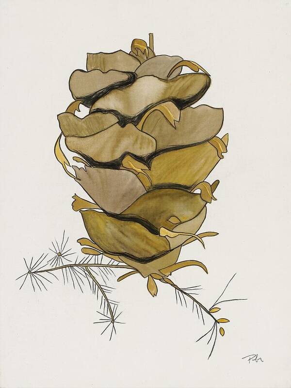 Colorado Tall Pine Cone Fine Art Print - Art Print