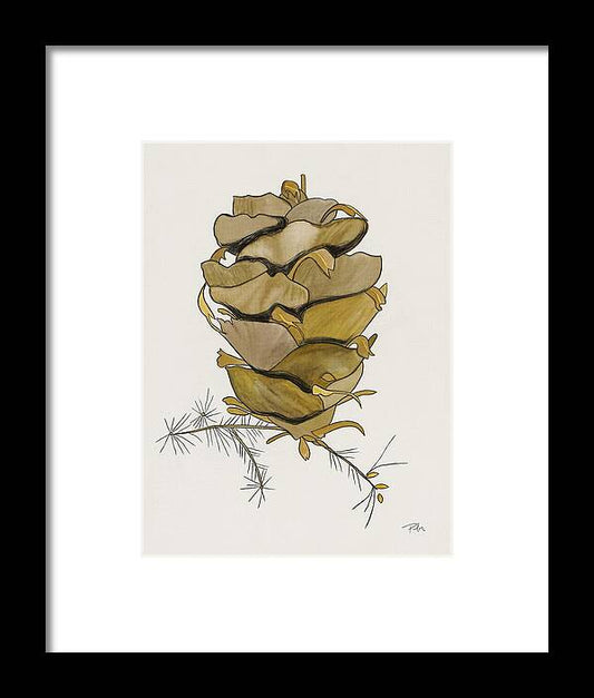 Colorado Tall Pine Cone Fine Art Print - Framed Print