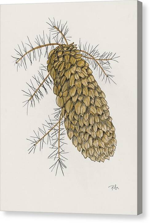 Colorado Pine Cone Fine Art Print - Canvas Print