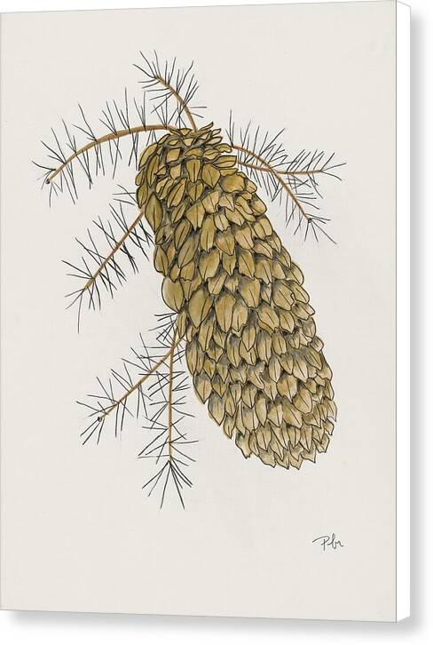 Colorado Pine Cone Fine Art Print - Canvas Print