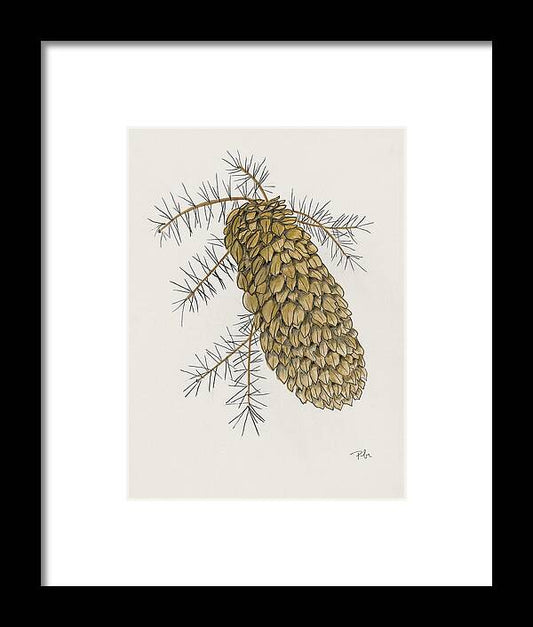 Colorado Pine Cone Fine Art Print - Framed Print