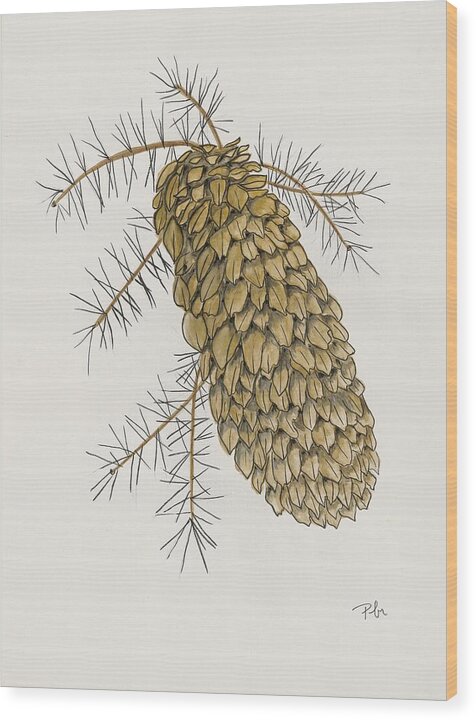 Colorado Pine Cone Fine Art Print - Wood Print