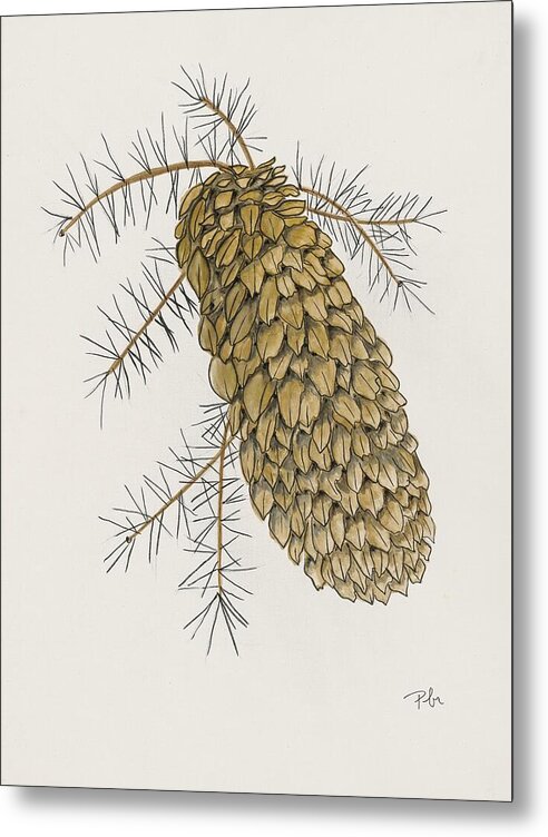 Colorado Pine Cone Fine Art Print - Metal Print