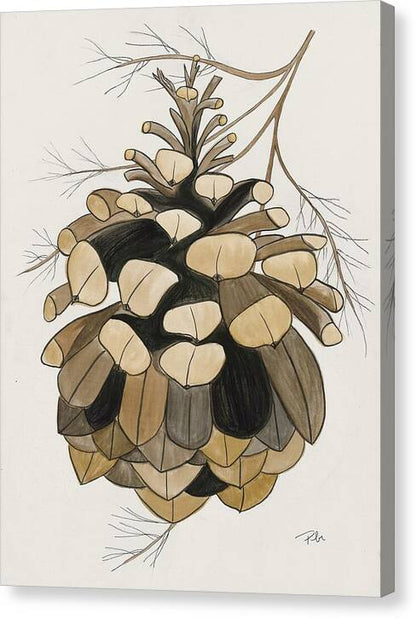 Colorado Fat Pine Cone Fine Art Print - Canvas Print