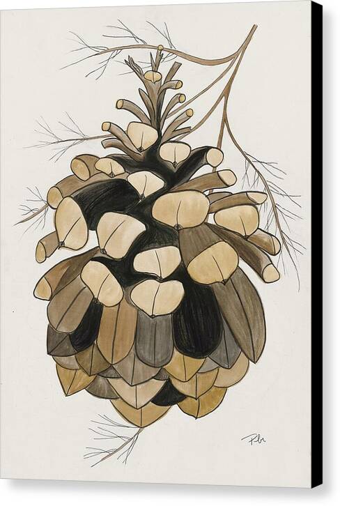 Colorado Fat Pine Cone Fine Art Print - Canvas Print