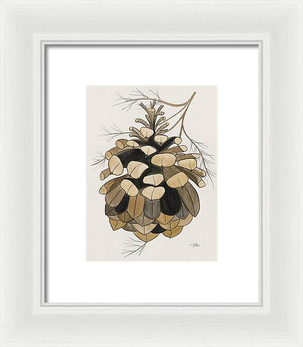 Colorado Fat Pine Cone Fine Art Print - Framed Print