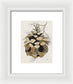 Colorado Fat Pine Cone Fine Art Print - Framed Print