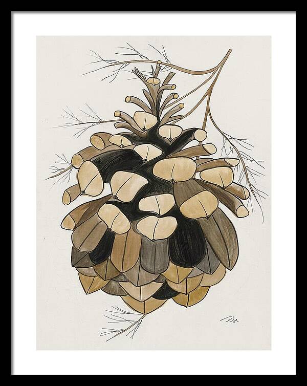 Colorado Fat Pine Cone Fine Art Print - Framed Print