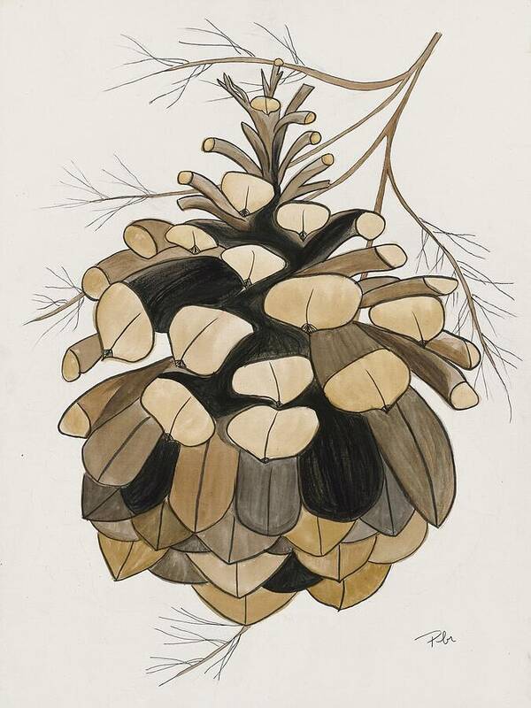 Colorado Fat Pine Cone Fine Art Print - Art Print