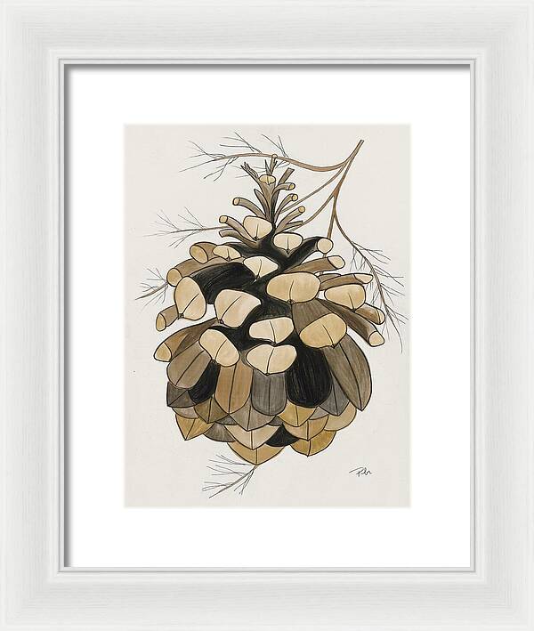 Colorado Fat Pine Cone Fine Art Print - Framed Print