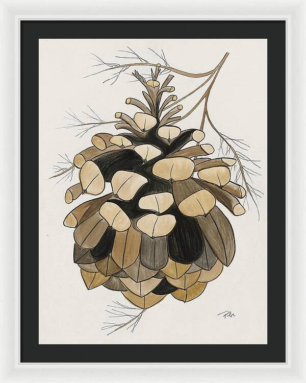 Colorado Fat Pine Cone Fine Art Print - Framed Print