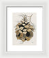 Colorado Fat Pine Cone Fine Art Print - Framed Print