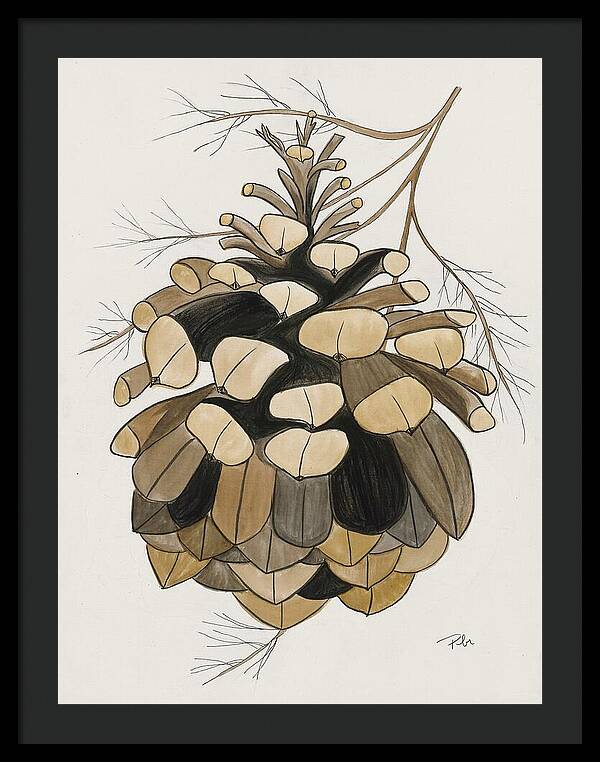 Colorado Fat Pine Cone Fine Art Print - Framed Print