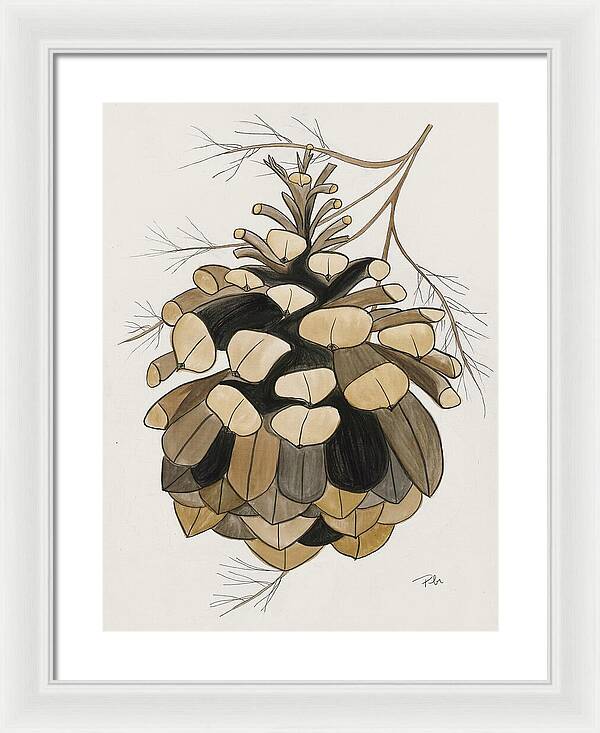 Colorado Fat Pine Cone Fine Art Print - Framed Print