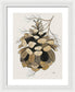 Colorado Fat Pine Cone Fine Art Print - Framed Print